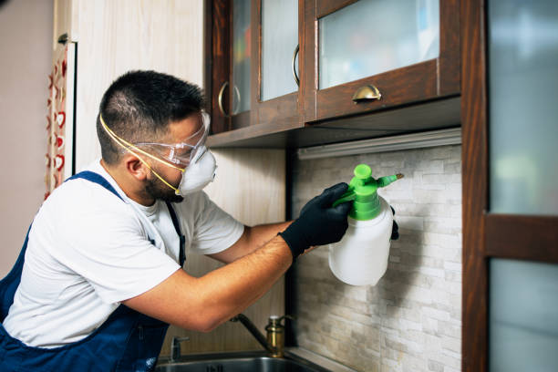 Insect Control in Steilacoom, WA