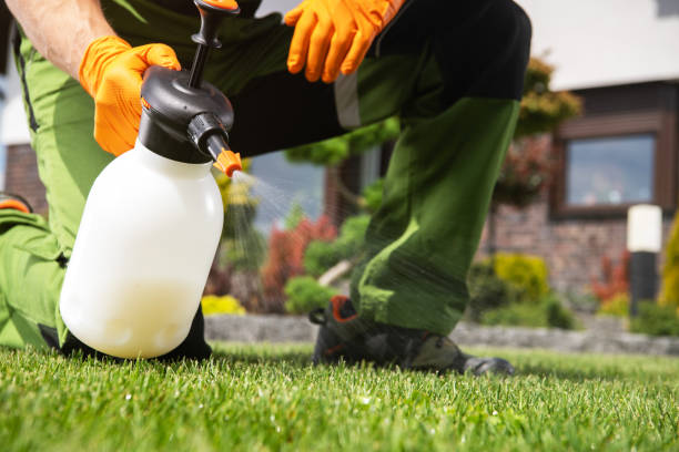 Best Ant Control Services  in Steilacoom, WA