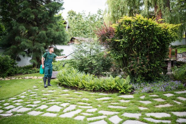 Reliable Steilacoom, WA Pest Control Solutions