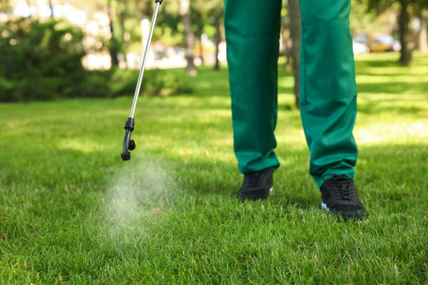 Best Best Pest Control Companies  in Steilacoom, WA