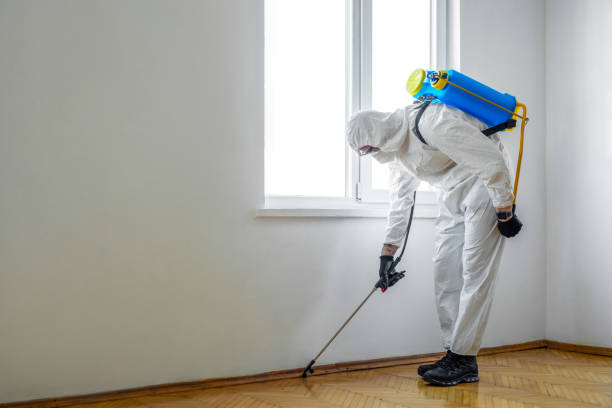  Steilacoom, WA Pest Control Pros