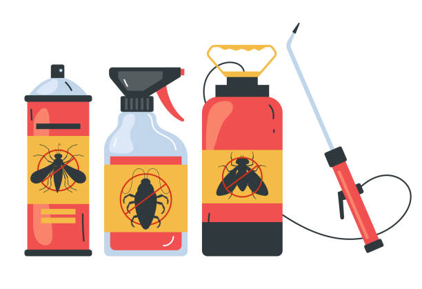Best Insect Control  in Steilacoom, WA