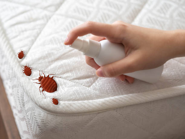 Best Pest Control Near Me  in Steilacoom, WA