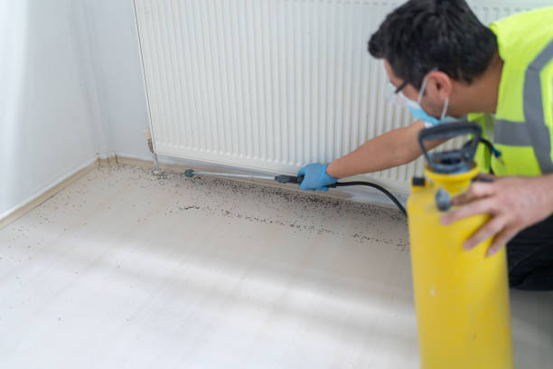 Best Local Pest Control Services  in Steilacoom, WA