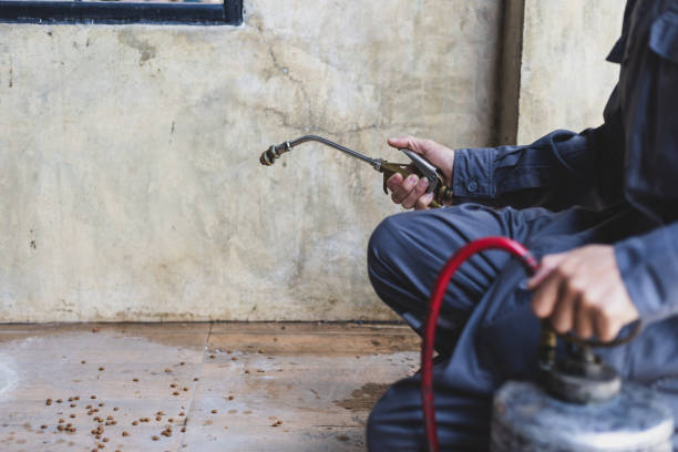 Best Mosquito Control Services  in Steilacoom, WA